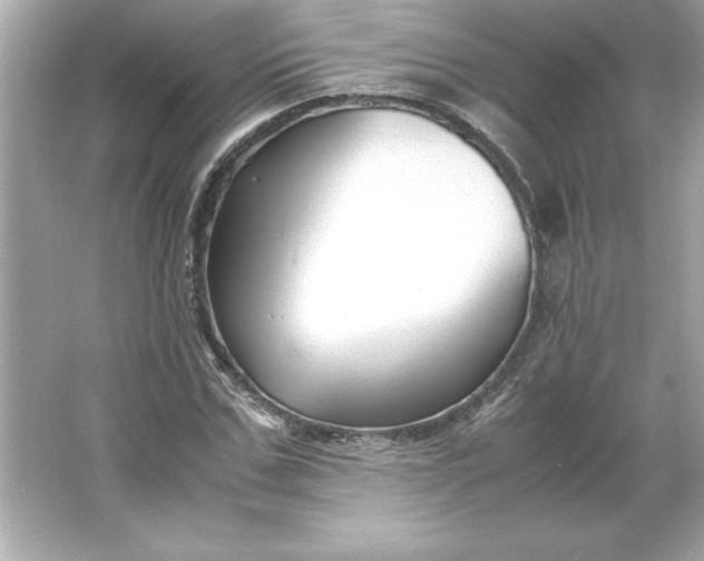 X0000066020971200603171527