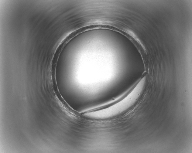 X0000066020972200603171527