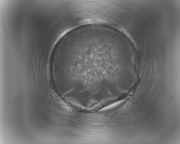 X0000066020975200603171527