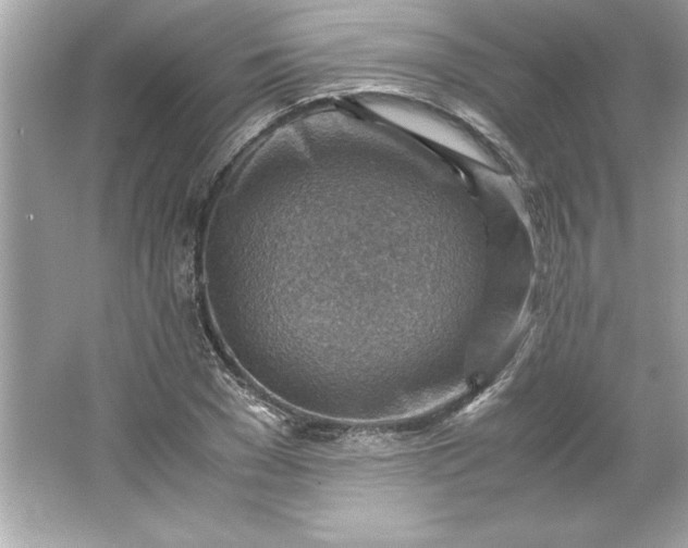 X0000066020977200603171527