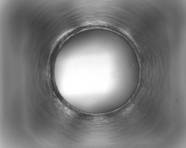 X0000066020979200603171527