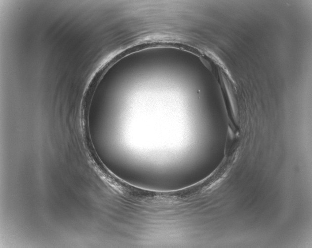 X0000066020981200603171527