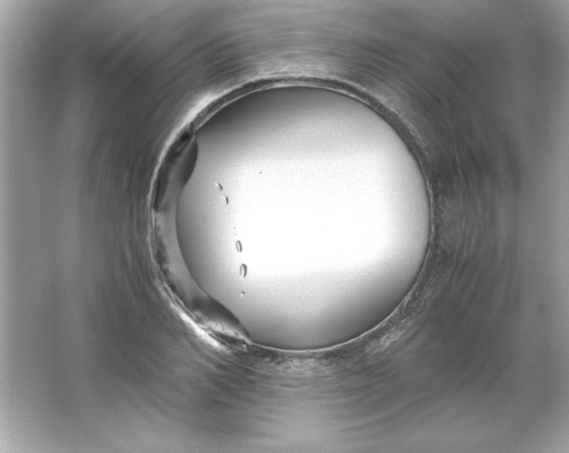 X0000066020982200603171527