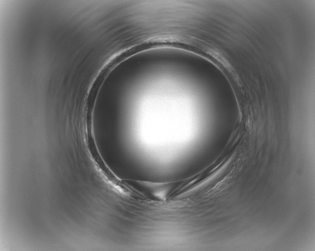 X0000066020984200603171527