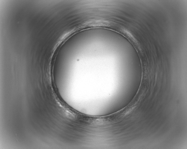 X0000066020986200603171527