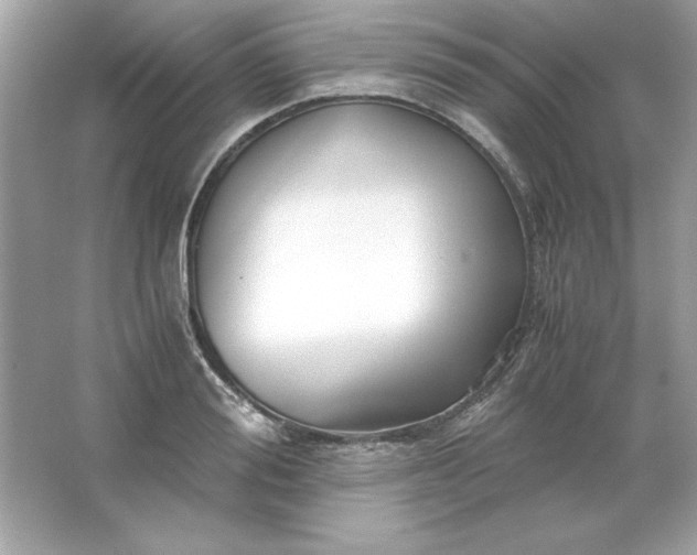 X0000066020988200603171527