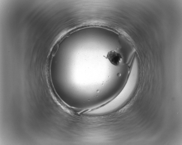 X0000066020989200603171527