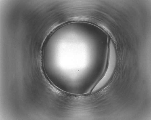 X0000066020992200603171527