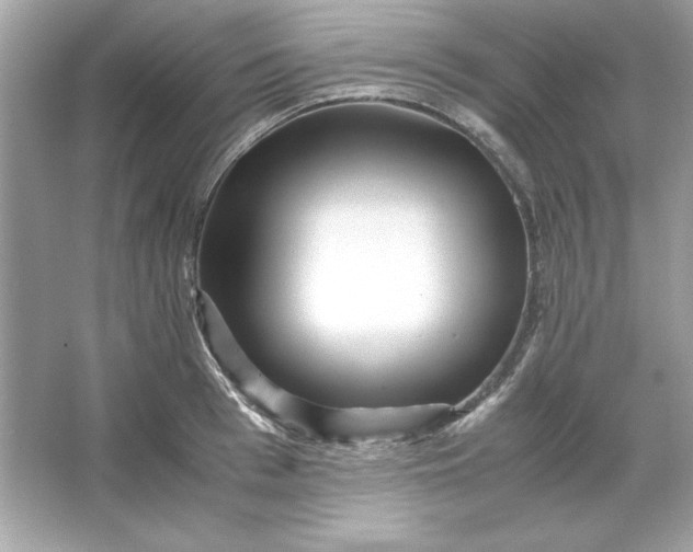 X0000066020993200603171527