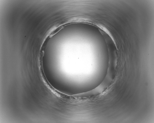 X0000066020997200603171527