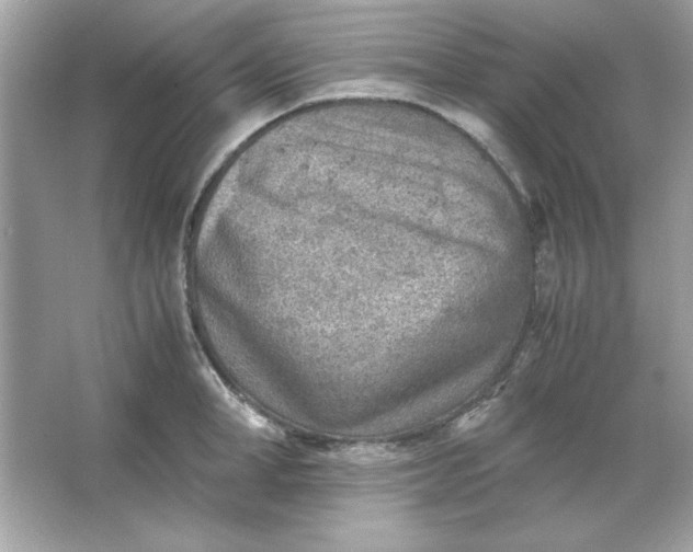 X0000066020998200603171527