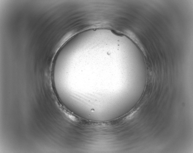 X0000066021002200603171527