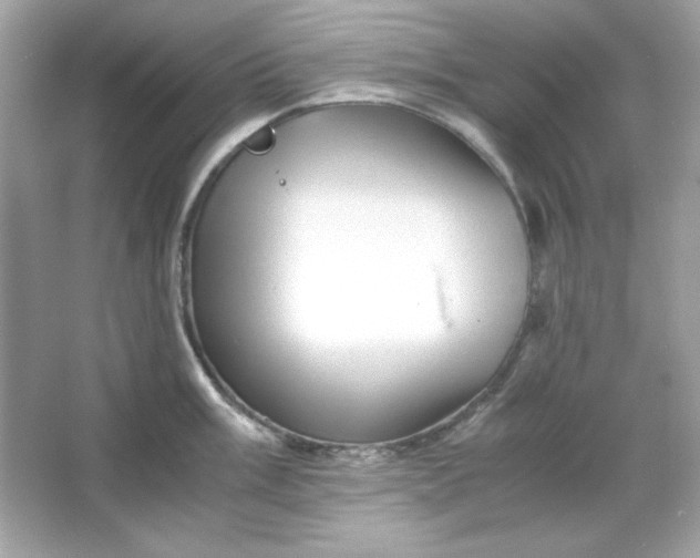 X0000066021003200603171527