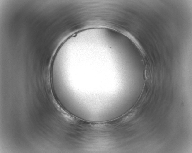 X0000066021004200603171527