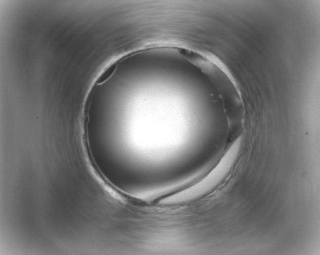 X0000066021005200603171527