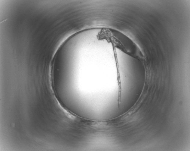 X0000066021006200603171527