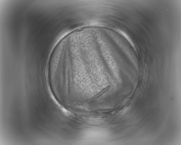 X0000066021007200603171527