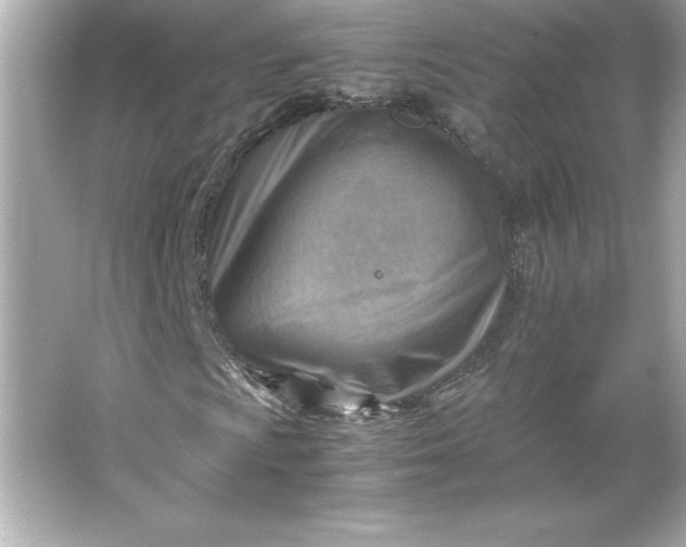 X0000066021009200603171526