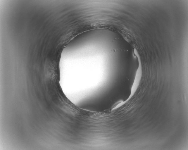 X0000066021012200603171526