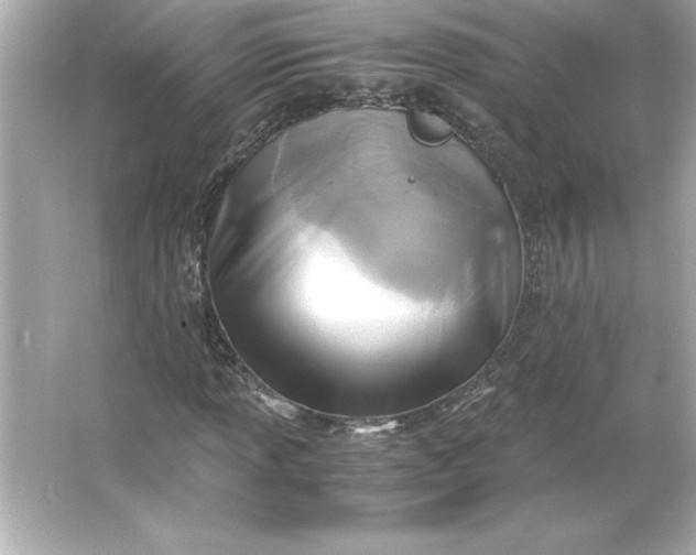 X0000066021013200603171526