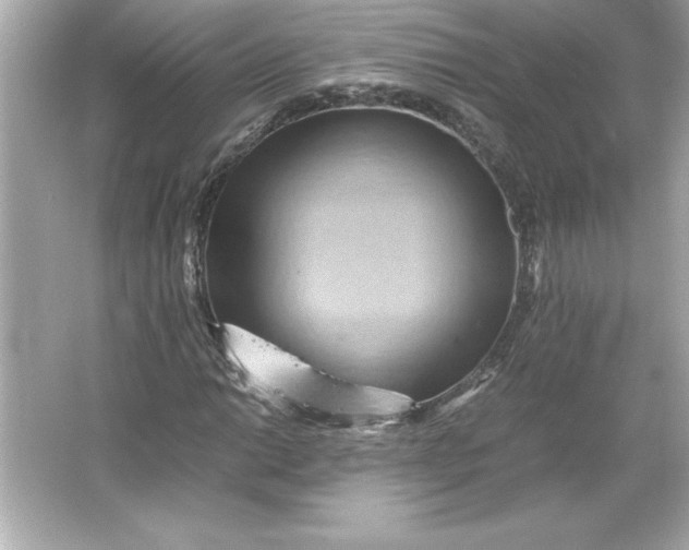 X0000066021014200603171526