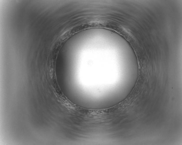 X0000066021015200603171526