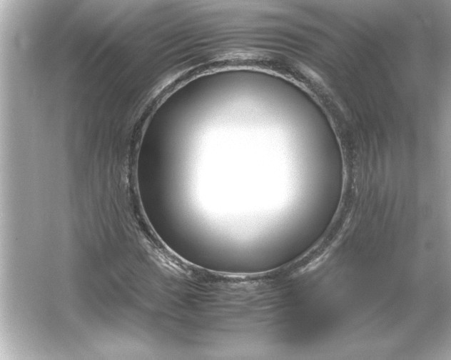 X0000066021017200603171526