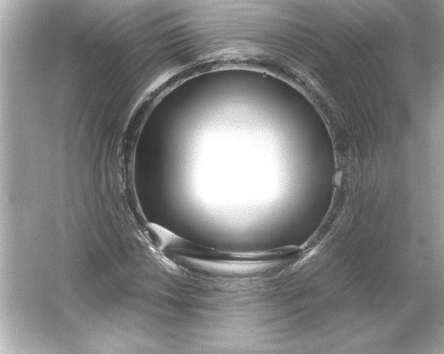 X0000066021018200603171526