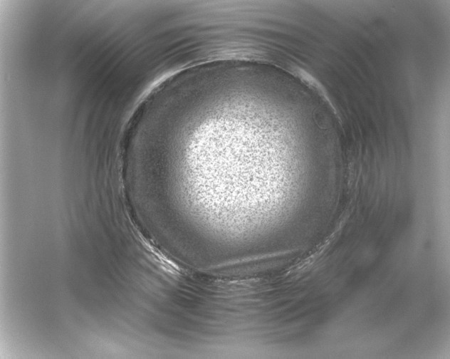 X0000066021019200603171526