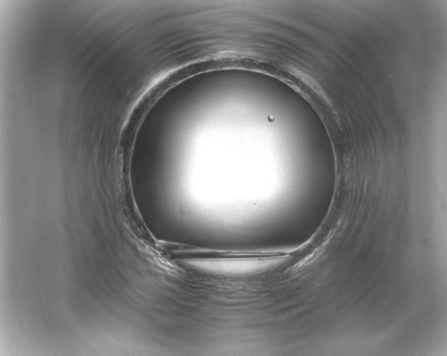 X0000066021021200603171526