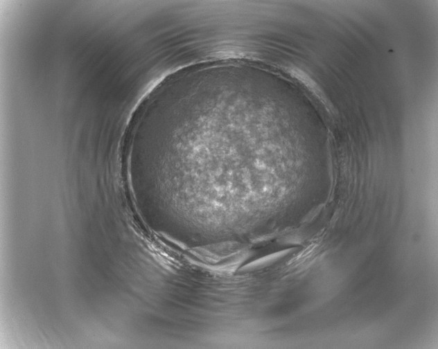 X0000066021023200603171526