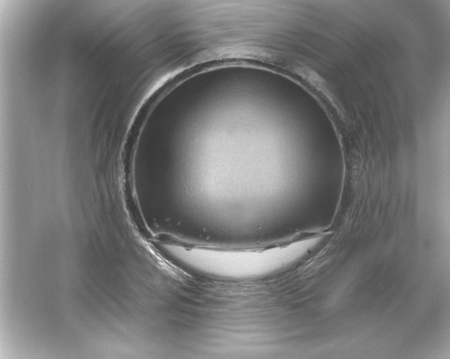 X0000066021024200603171526