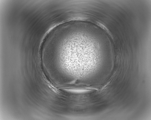 X0000066021027200603171526