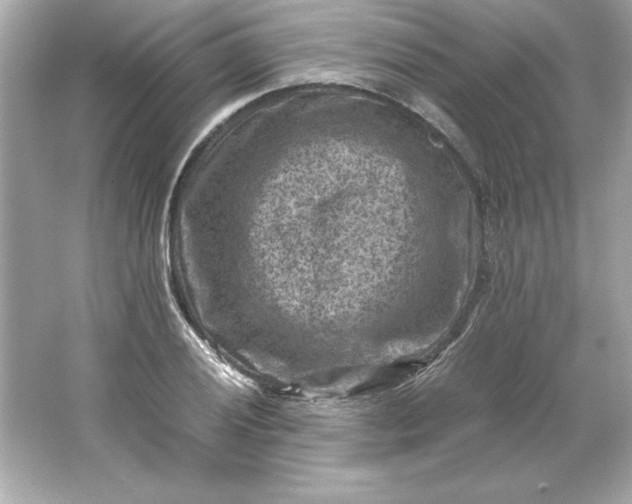 X0000066021028200603171526