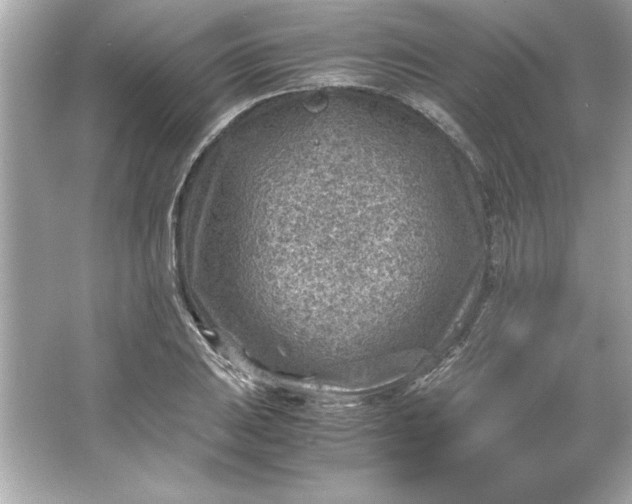 X0000066021031200603171526