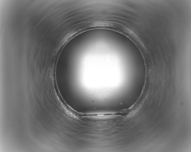 X0000066021033200603171526