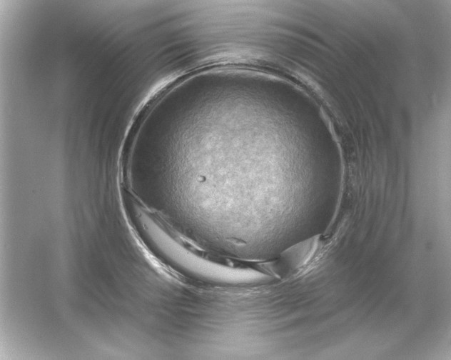 X0000066021034200603171526