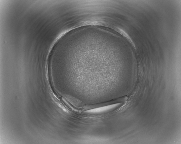 X0000066021035200603171526