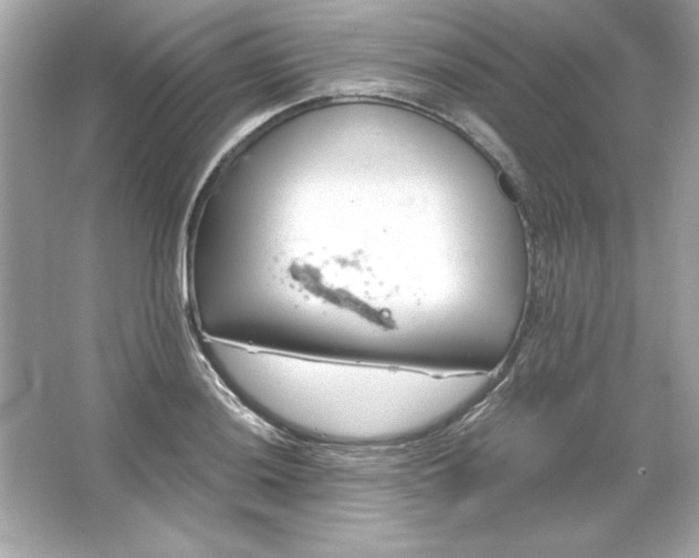 X0000066021036200603171526