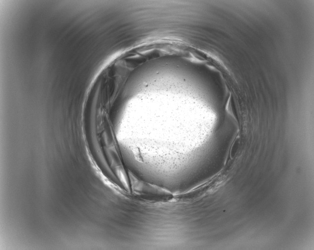 X0000066021038200603171526