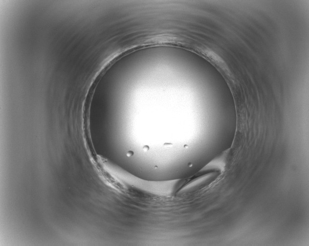 X0000066021039200603171526