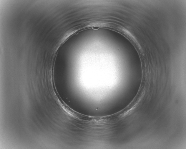 X0000066021041200603171526