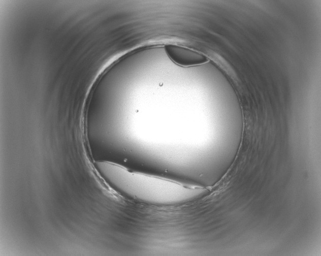 X0000066021044200603171527