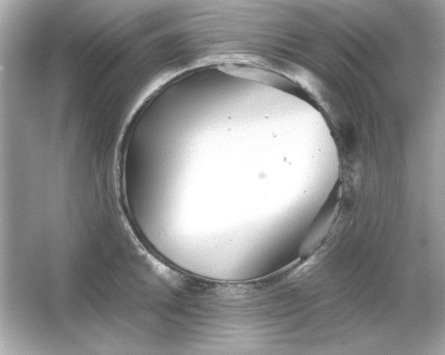 X0000066021046200603171527