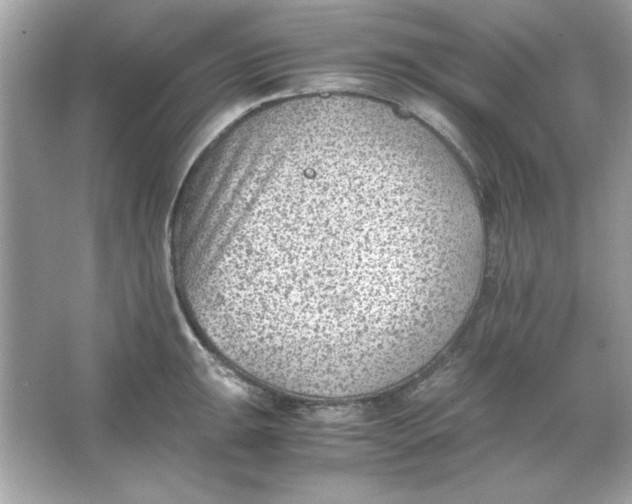 X0000066021047200603171527