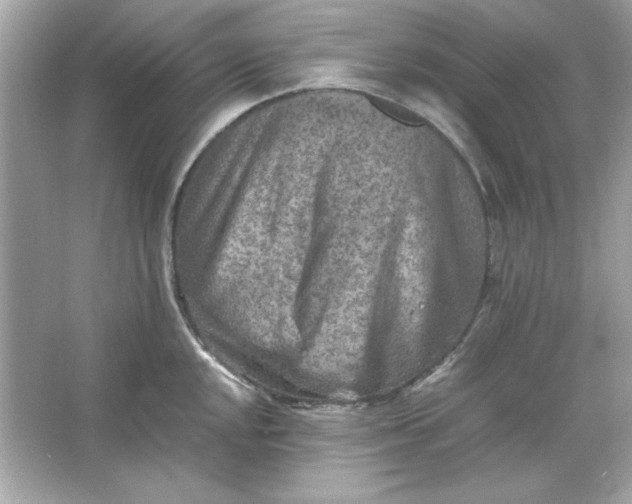 X0000066021048200603171527