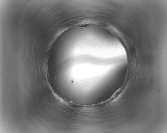 X0000066021049200603171527