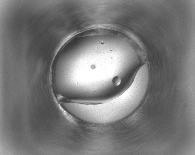 X0000066021050200603171527