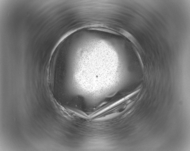 X0000066021052200603171527