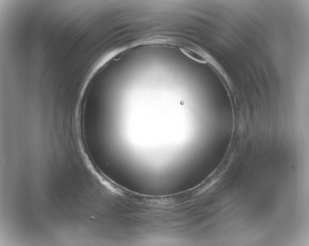 X0000066021053200603171527